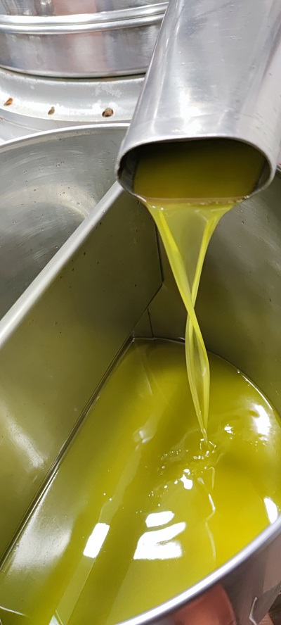 Gewinnung von nativem Olivenöl extra